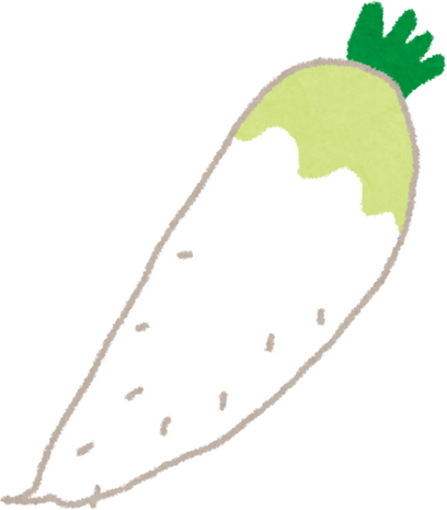 Hand Drawn Illustration of a Thick White Radish